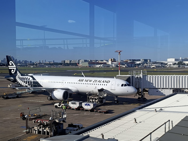 Taking My First Flight After Becoming a Wheelchair User!