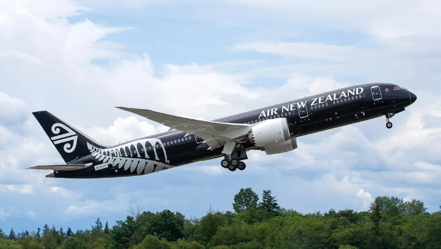 A Small Message That Means a Lot: Air New Zealand’s New Wheelchair Confirmation System